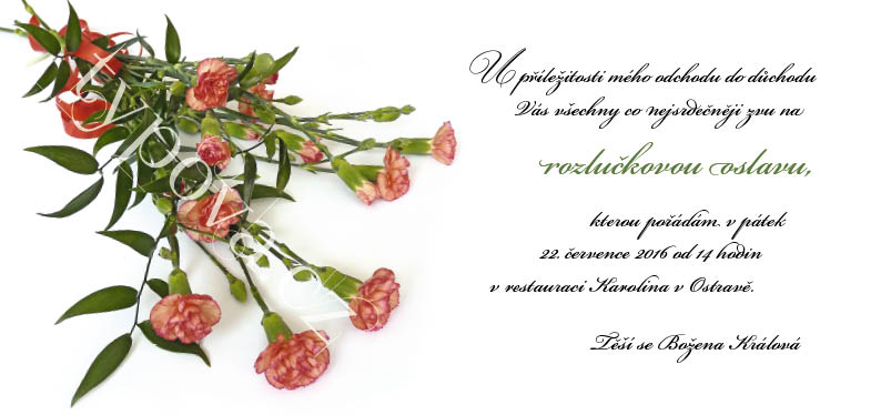 typova-narozeninove-pozvanky