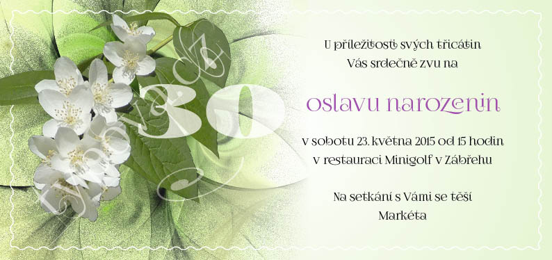 typova-narozeninove-pozvanky