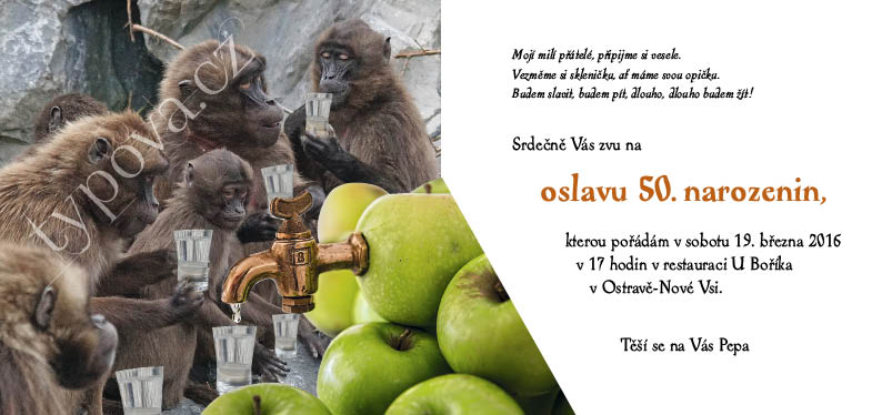 typova-narozeninove-pozvanky