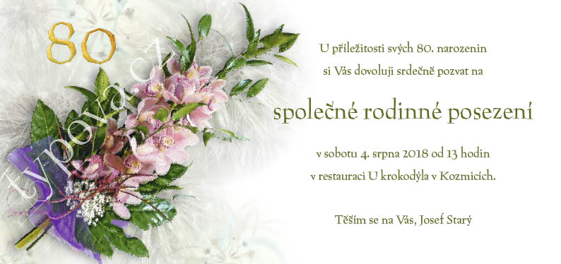 typova-narozeninove-pozvanky