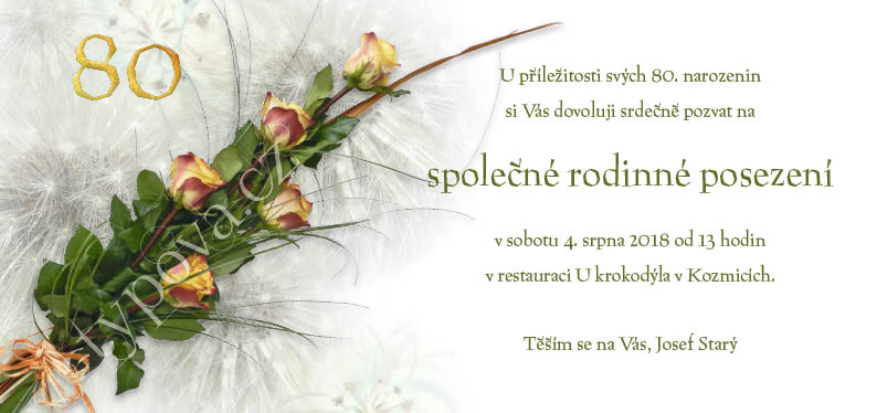 typova-narozeninove-pozvanky