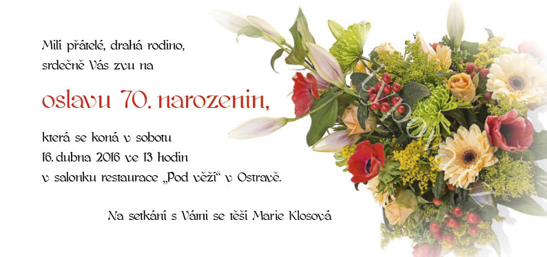 typova-narozeninove-pozvanky